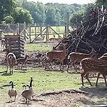 Am Wildgehege Appartement